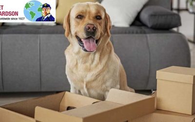 Safely Relocating Your Pets: A Complete Guide