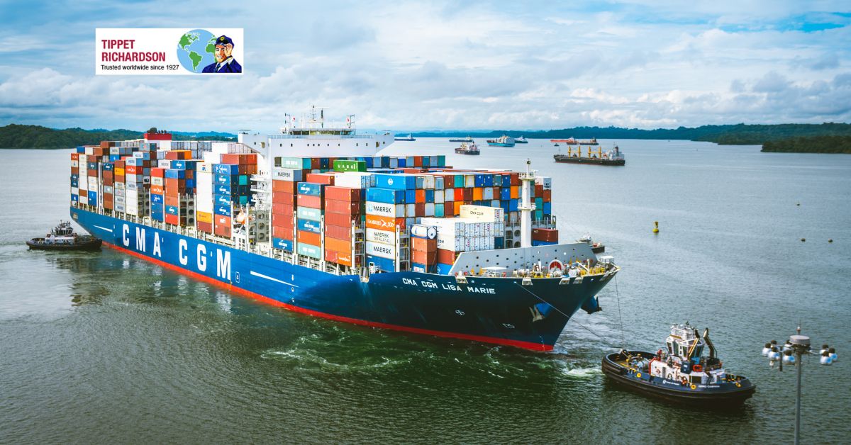 Benefits of Groupage Shipping for Cost Effective Transport - Tippet Richardson