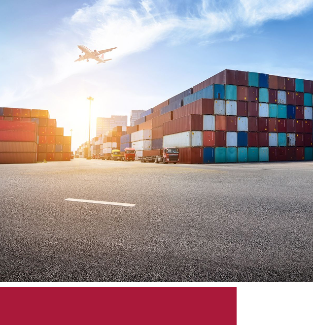 Trusted International Moving Services - Tippet Richardson