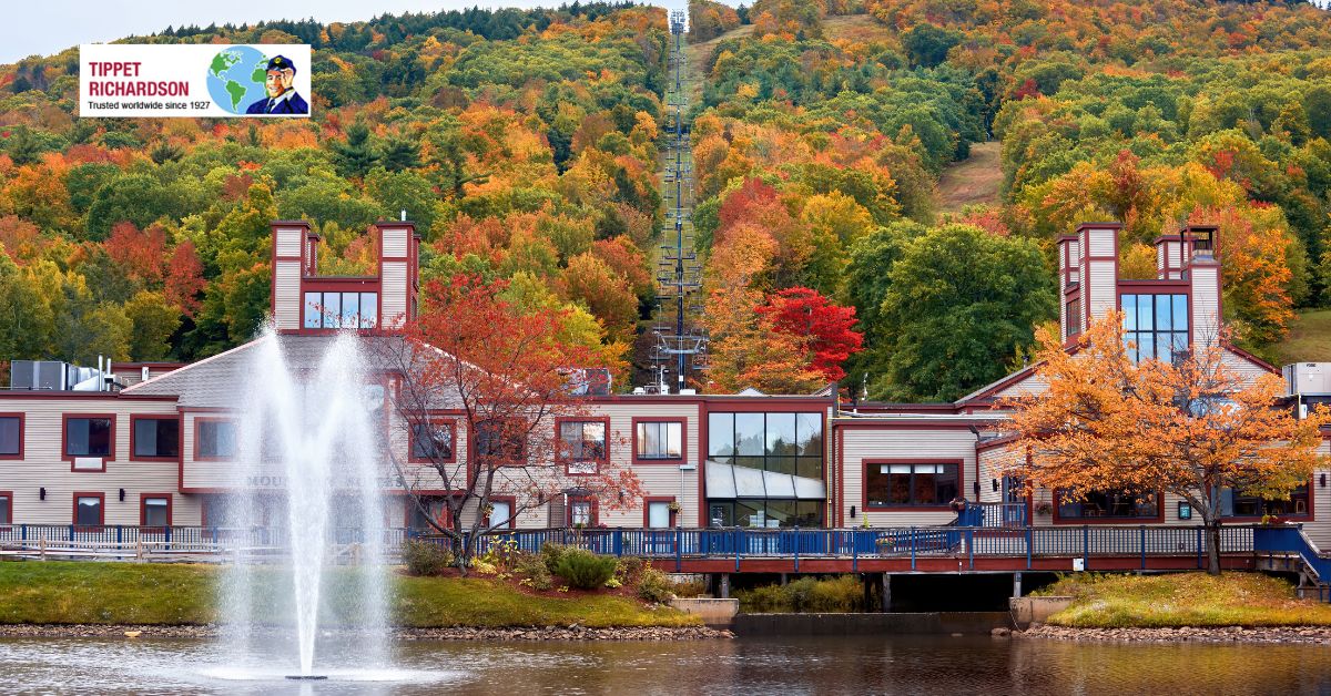 What to Know Before Moving to New Brunswick from Ontario - Tippet Richardson