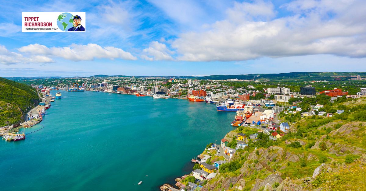 The Ultimate Guide to Moving to Newfoundland from Ontario- Tippet Richardson