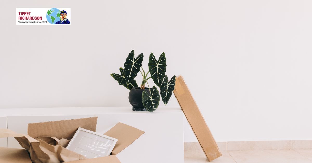 Residential Movers Burlington Planning - Tippet Richardson