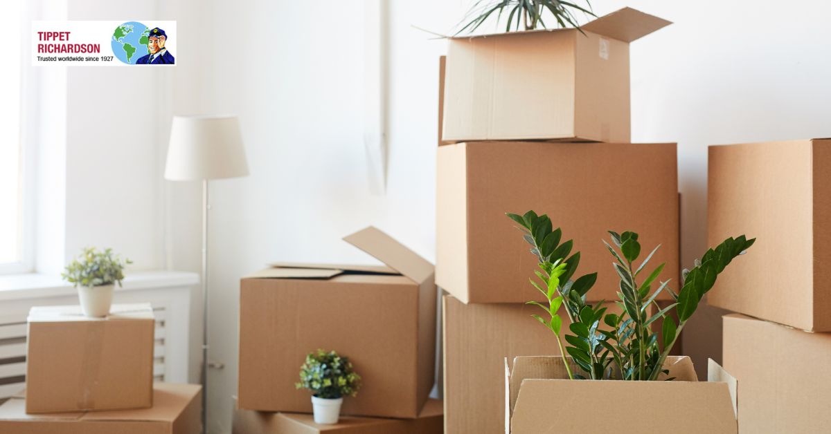 Green Office Movers for Eco Conscious Workspace Moves - Tippet Richardson