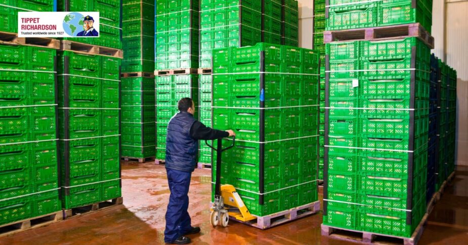 How to Choose The Best Long-Term Storage Vaughan - Tippet Richardson