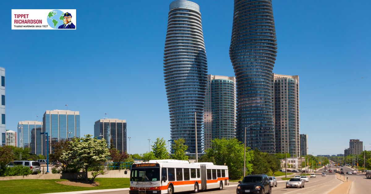 Insights from Professional Local Movers in Mississauga - Tippet Richardson