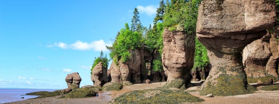 Relocating to New Brunswick - Tippet Richardson