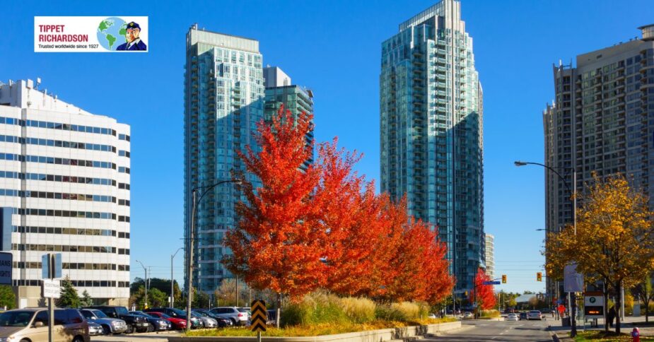 Condo Residential Movers Mississauga - Tippet Richardson