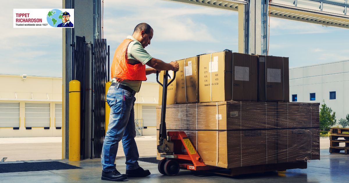 A Complete Guide to Document Storage Services Toronto - Tippet Richardson