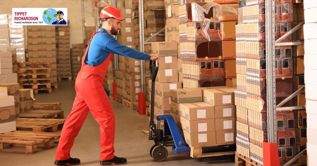 Senior Storage Services in Richmond Hill: A Complete Guide - Tippet Richardson