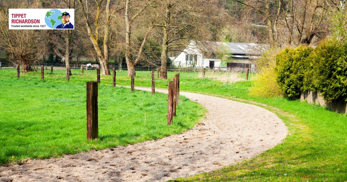 Expert Moving Services to Bridle Path from Toronto: A Seamless Luxury Relocation - Tippet Richardson