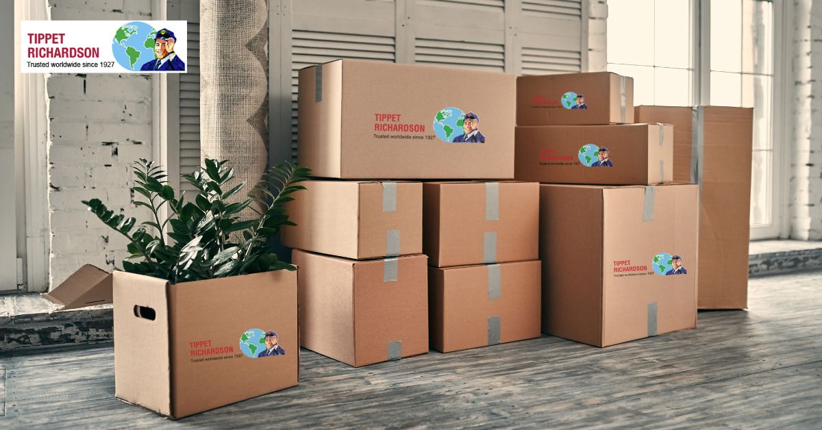 How to Find the Professional Moving Companies You Need - Tippet Richardson