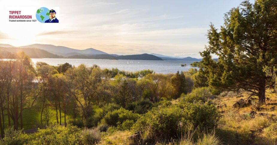 Local Moving Services to Moore Park from Toronto - Tippet Richardson