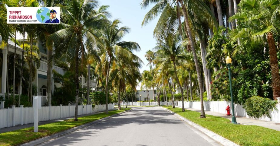 Local Moving Services to The Annex - Tippet Richardson