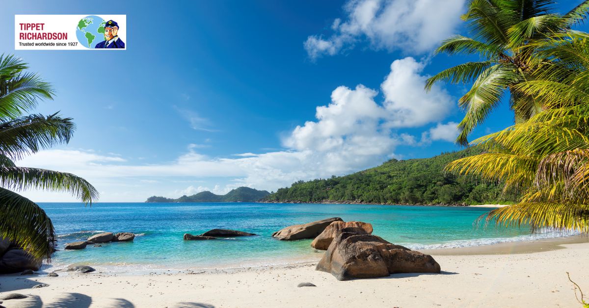 Moving Services to The Beaches from Toronto and GTA - Tippet Richardson