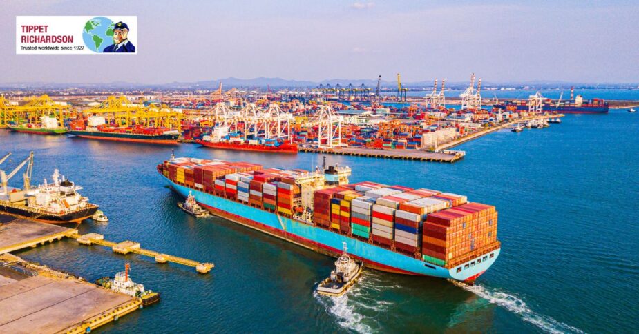 Overseas Movers in Richmond Hill - Tippet Richardson