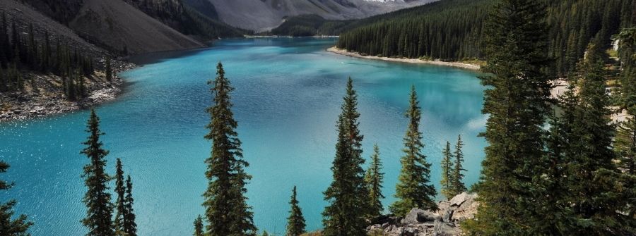 Relocating to Alberta - Tippet Richardson