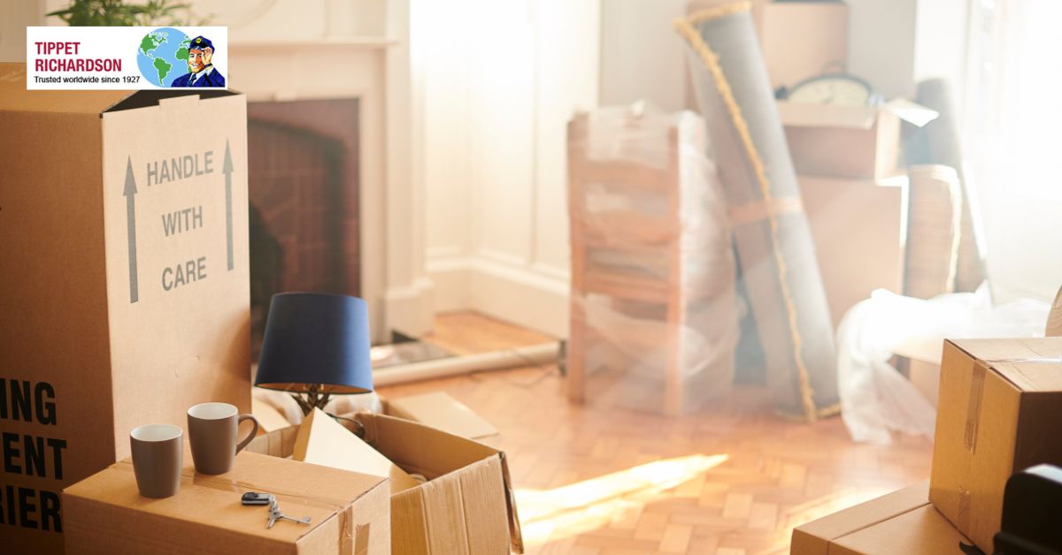 Everything You Need to Know About Moving from Toronto to St Johns - Tippet Richardson