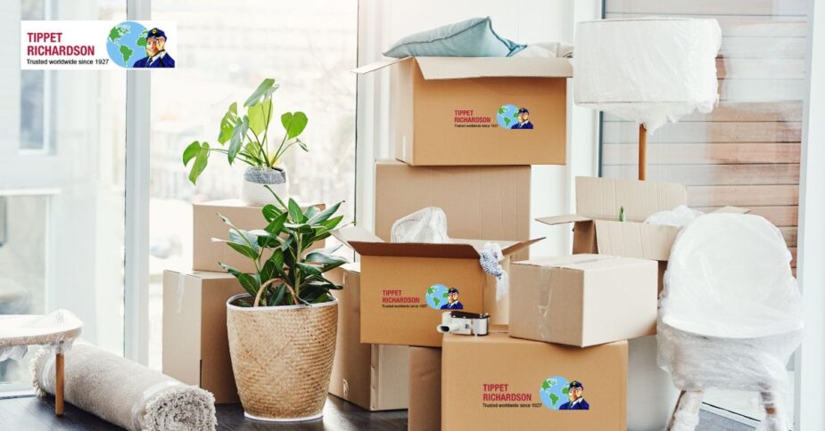 Moving from Toronto to Lethbridge: Heres What to Expect - Tippet Richardson