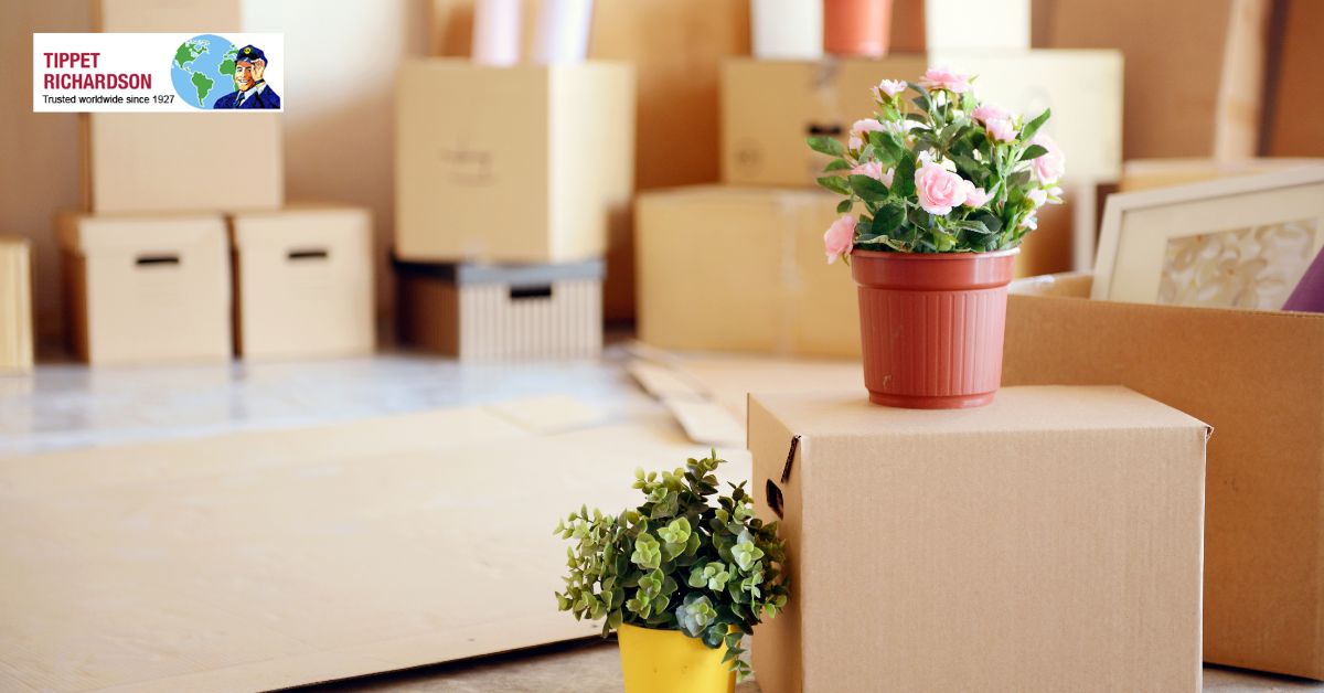 Moving from Toronto to Minneapolis: A Complete Guide - Tippet Richardson