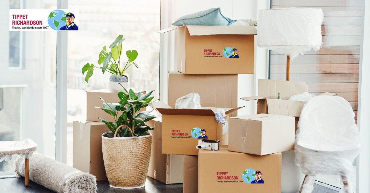 Moving from Toronto to Steinbach: Heres How to Plan Ahead - Tippet Richardson