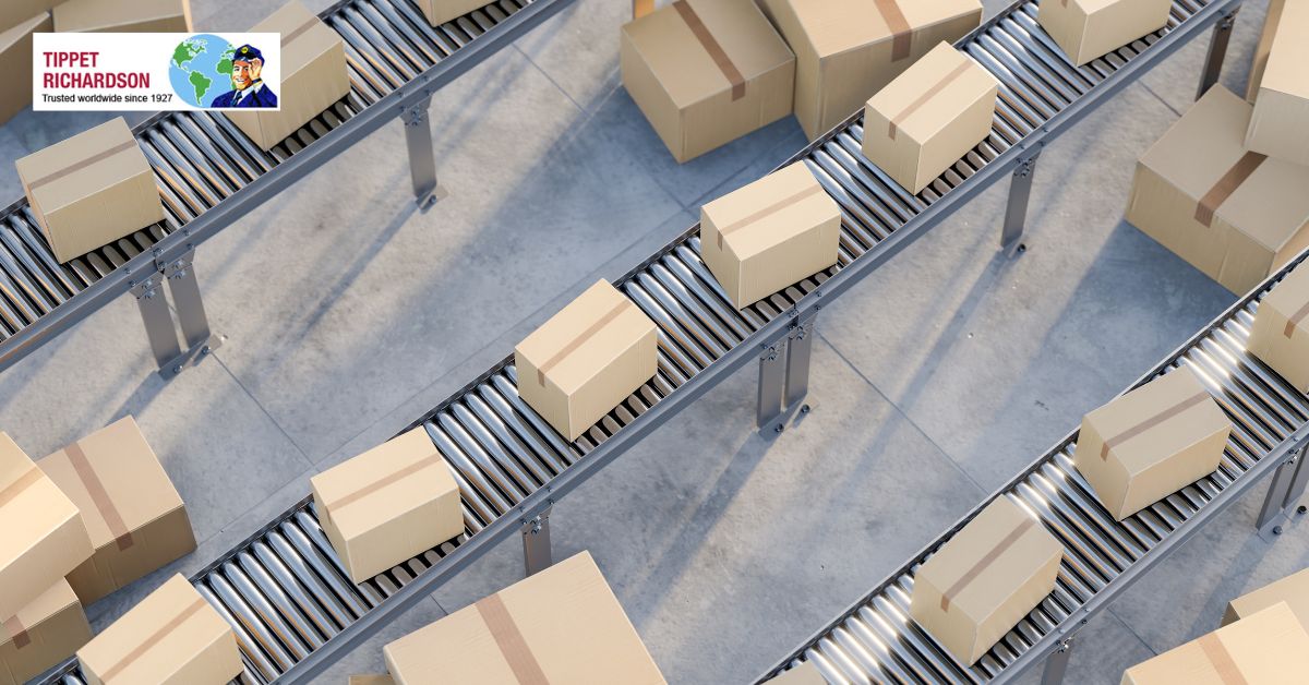 Premium Storage Services in Moore Park - Tippet Richardson