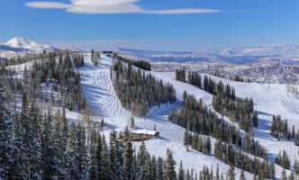 Ajax Movers - Tippet Richardson Ajax Movers - Tippet Richardson