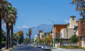 Milton Movers - Tippet Richardson Milton Movers - Tippet Richardson