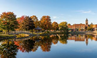 Newmarket Movers - Tippet Richardson Newmarket Movers - Tippet Richardson