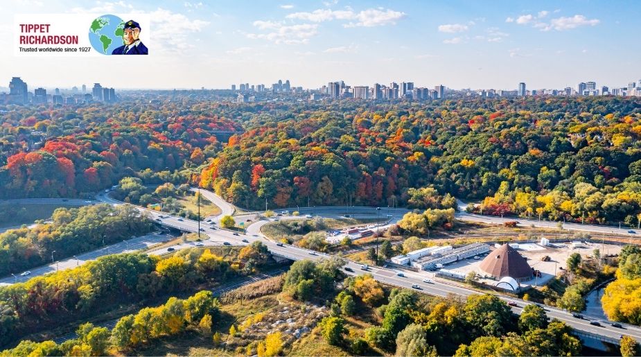 Moving to Rosedale -Tippet Richardson