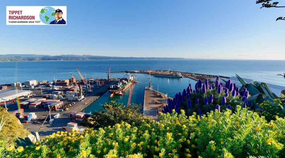 Best Cities to Live in New Zealand: A Guide for People Moving from Canada - Tippet Richardson