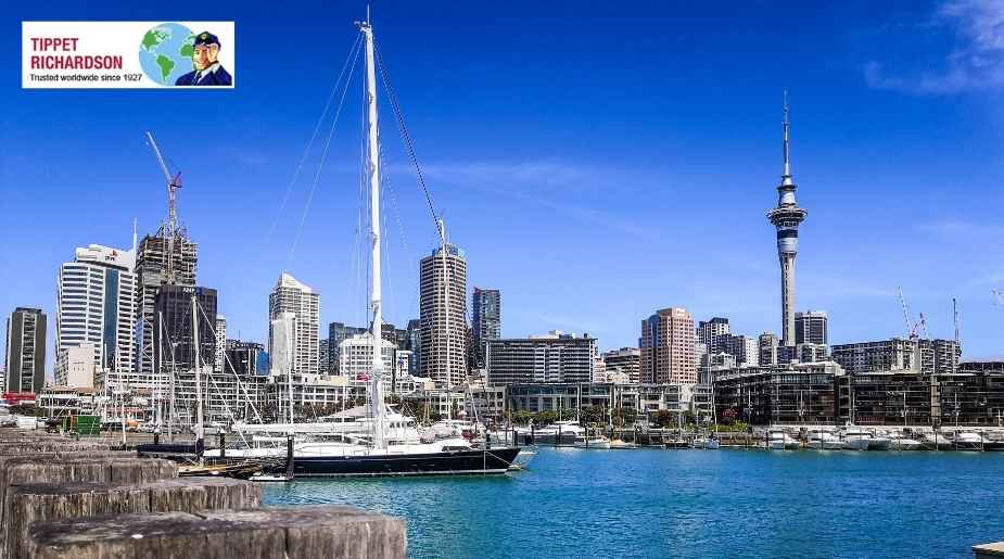 Moving from Toronto to Dunedin: International Moving Guide - Tippet Richardson