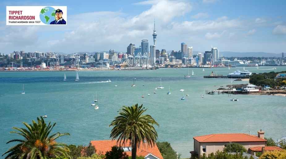 Moving from Toronto to Invercargill: International Moving Guide - Tippet Richardson
