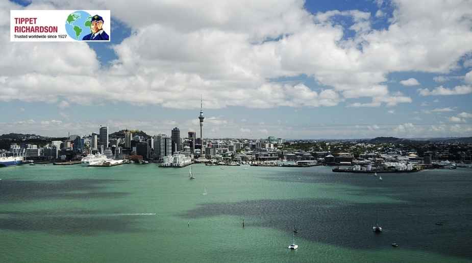 Moving from Toronto to Lower Hutt: International Moving Guide - Tippet Richardson